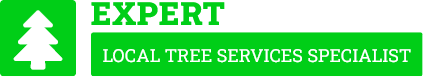 Tauranga Tree Removal - Tree Removal Tauranga